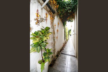 Casa para alugar com 180m², 3 quartos e 2 vagas Casa para alugar com 180m², 3 quartos e 2 vagasCorredor Lateral e Jardim Suspenso