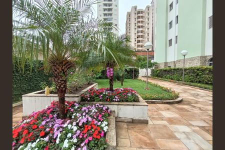 Apartamento à venda com 49m², 2 quartos e 1 vaga Apartamento à venda com 49m², 2 quartos e 1 vagaÁrea comum