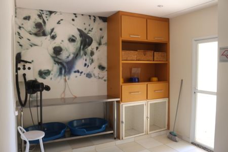 Apartamento à venda com 144m², 3 quartos e 2 vagasÁrea comum - Espaço pet