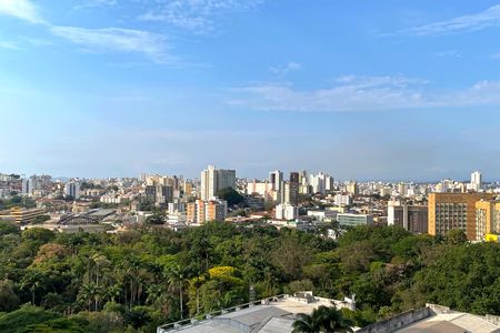 Vista da Suíte de apartamento para alugar com 1 quarto, 59m² em Funcionários, Belo Horizonte