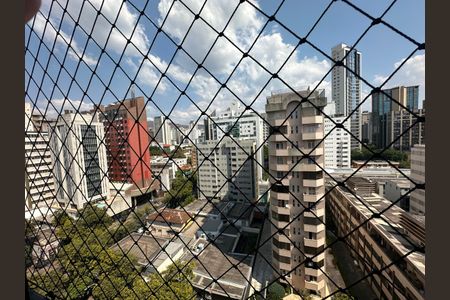 Vista de apartamento à venda com 3 quartos, 220m² em Funcionários, Belo Horizonte