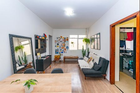 Sala de apartamento à venda com 2 quartos, 47m² em Castelo, Belo Horizonte
