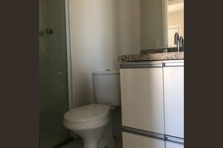 Banheiro Social de apartamento para alugar com 1 quarto, 46m² em Jardim Santo Amaro, São Paulo