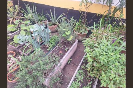 Apartamento à venda com 48m², 1 quarto e 1 vagaÁrea Externa