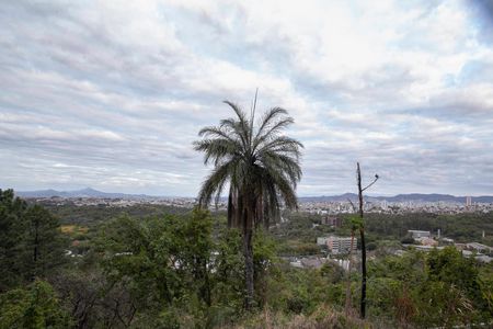 Apartamento à venda com 122m², 3 quartos e 2 vagas Apartamento à venda com 122m², 3 quartos e 2 vagasVista da suíte