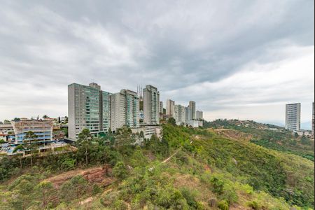 Sala de apartamento para alugar com 2 quartos, 70m² em Vila da Serra, Nova Lima