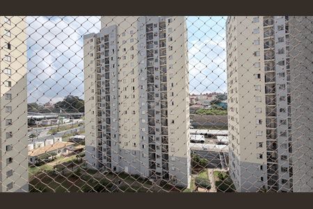 Vista da Varanda de apartamento para alugar com 2 quartos, 49m² em Vila Mimosa, Campinas