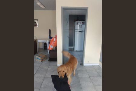 Casa à venda com 3 quartos, 740m² em Vila Formosa, São Paulo