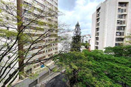 Vista da Varanda da Sala de apartamento à venda com 4 quartos, 180m² em Anchieta, Belo Horizonte