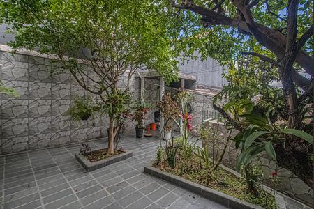 Casa à venda com 133m², 2 quartos e 2 vagas Casa à venda com 133m², 2 quartos e 2 vagasárea verde_3