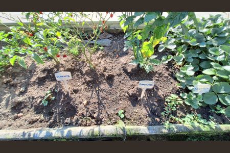 Apartamento para alugar com 65m², 3 quartos e 1 vagaÁrea comum