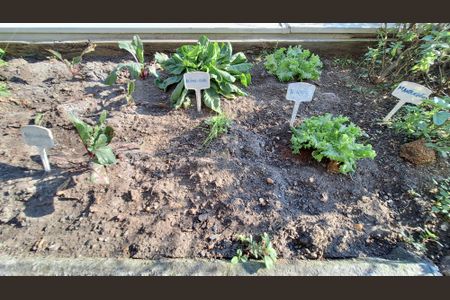 Apartamento para alugar com 65m², 3 quartos e 1 vagaÁrea comum