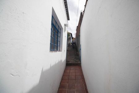 Casa à venda com 81m², 3 quartos e sem vaga Casa à venda com 81m², 3 quartos e sem vagaQuintal / Área de