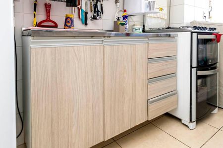Apartamento à venda com 52m², 2 quartos e sem vagaCozinha - Armários