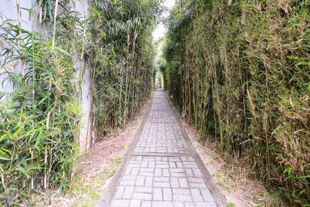 Apartamento à venda com 118m², 3 quartos e 2 vagasÁrea comum - Pista de caminhada