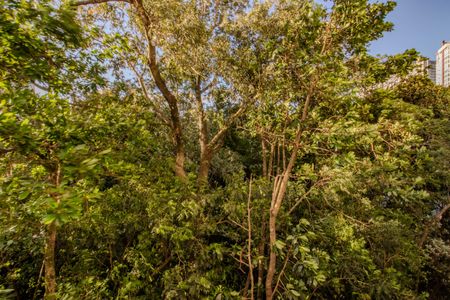 Vista de kitnet/studio à venda com 1 quarto, 52m² em Petrópolis, Porto Alegre
