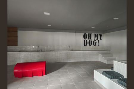 Apartamento para alugar com 63m², 3 quartos e 1 vaga Apartamento para alugar com 63m², 3 quartos e 1 vagaPet Care