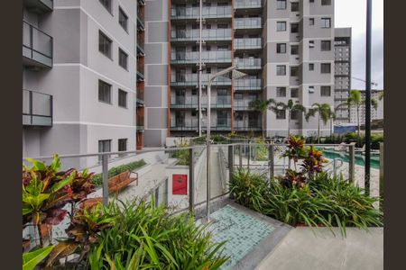 Apartamento para alugar com 63m², 3 quartos e 1 vaga Apartamento para alugar com 63m², 3 quartos e 1 vagaÁrea comum - Piscina