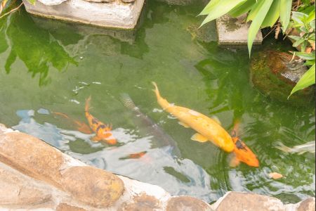 Casa à venda com 320m², 3 quartos e 6 vagasCarpas