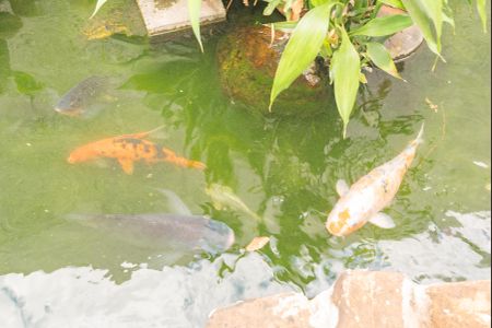 Casa à venda com 320m², 3 quartos e 6 vagasCarpas