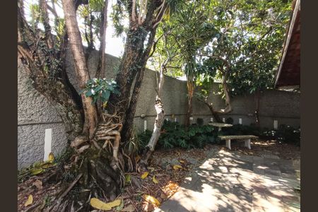 Casa à venda com 375m², 8 quartos e 6 vagas