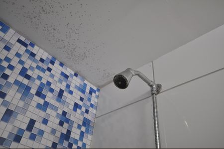 Apartamento para alugar com 40m², 2 quartos e sem vagaBanheiro