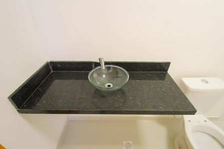 Banheiro da Suíte de apartamento para alugar com 2 quartos, 50m² em Vila Ivone, São Paulo