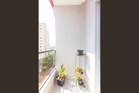 Apartamento à venda com 79m², 3 quartos e 2 vagas Apartamento à venda com 79m², 3 quartos e 2 vagasSacada