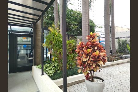 Apartamento para alugar com 110m², 3 quartos e 2 vagasÁrea comum