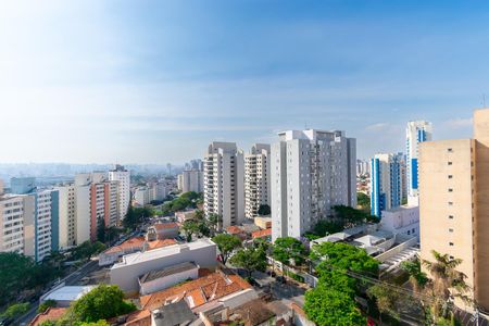 Vista da Varanda da Sala de apartamento para alugar com 3 quartos, 70m² em Vila Lucia, São Paulo