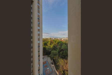 Vista da Sala de apartamento à venda com 3 quartos, 78m² em União, Belo Horizonte