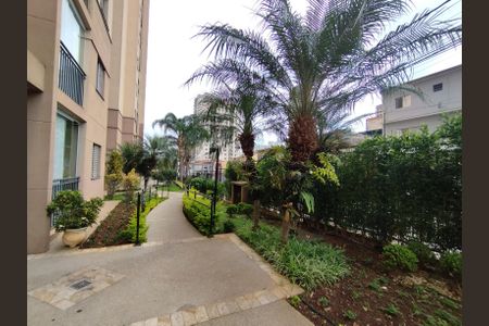 Área comum de apartamento para alugar com 2 quartos, 49m² em Vila da Saúde, São Paulo