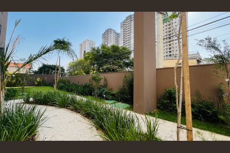 Apartamento para alugar com 35m², 2 quartos e sem vagaÁrea comum