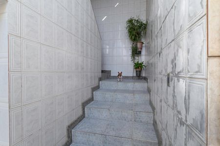 Casa à venda com 290m², 3 quartos e 3 vagas Casa à venda com 290m², 3 quartos e 3 vagasEscada