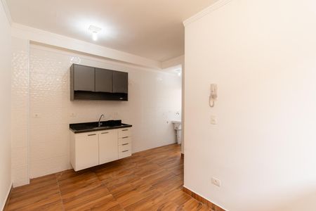 Sala de apartamento para alugar com 1 quarto, 28m² em Vila Formosa, São Paulo