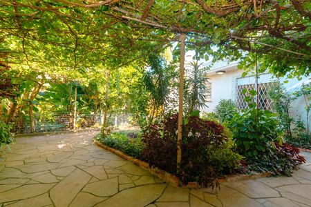 Área Externa de casa para alugar com 3 quartos, 250m² em Vila Ipiranga, Porto Alegre