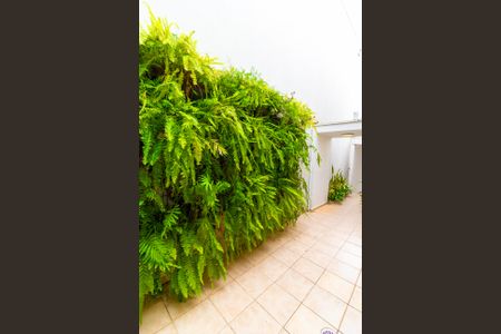 Casa de condomínio para alugar com 152m², 3 quartos e 2 vagasQuintal