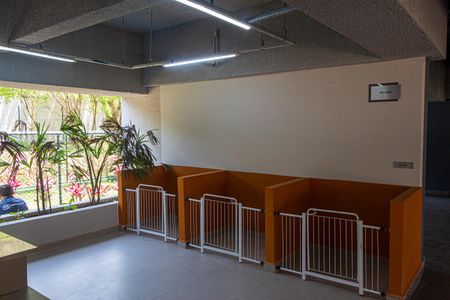 Apartamento para alugar com 34m², 2 quartos e sem vaga Apartamento para alugar com 34m², 2 quartos e sem vagaPet Care