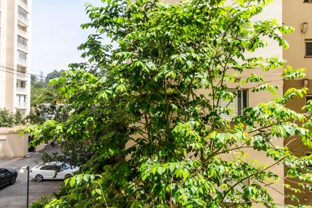 Apartamento à venda com 61m², 2 quartos e 1 vaga Apartamento à venda com 61m², 2 quartos e 1 vagaVista da Suíte