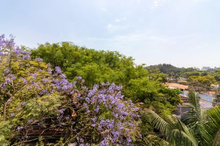 Apartamento à venda com 237m², 4 quartos e 3 vagas Apartamento à venda com 237m², 4 quartos e 3 vagasVista da Varanda