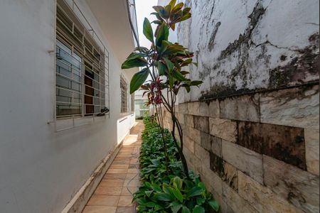 Casa à venda com 291m², 3 quartos e 4 vagas Casa à venda com 291m², 3 quartos e 4 vagasQuintal