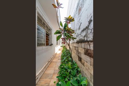 Casa à venda com 291m², 3 quartos e 4 vagas Casa à venda com 291m², 3 quartos e 4 vagasQuintal