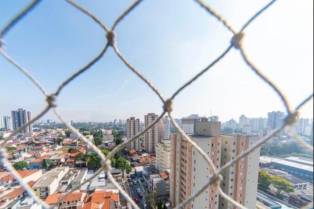 Apartamento para alugar com 199m², 4 quartos e 2 vagasVista do Quarto 3