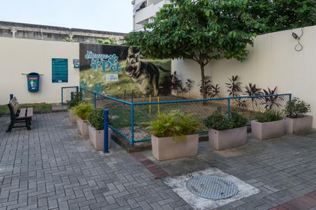 Apartamento para alugar com 60m², 2 quartos e 1 vaga Apartamento para alugar com 60m², 2 quartos e 1 vagaÁrea comum - Espaço Pet