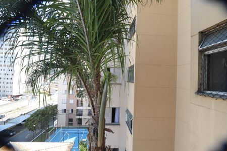 Apartamento à venda com 61m², 3 quartos e 1 vagaVista Quarto 2