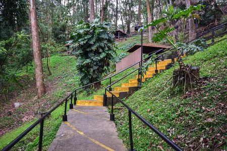 Apartamento à venda com 70m², 3 quartos e 2 vagasBosque