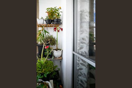 Varanda de apartamento à venda com 2 quartos, 50m² em Sacomã, São Paulo
