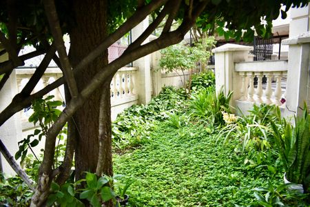 Apartamento à venda com 54m², 2 quartos e 1 vagaÁrea comum