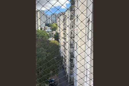 Apartamento à venda com 3 quartos, 71m² em Jardim Londrina, São Paulo