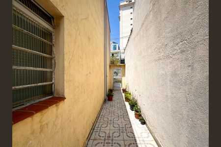 Casa à venda com 300m², 3 quartos e 2 vagas Casa à venda com 300m², 3 quartos e 2 vagasQuintal